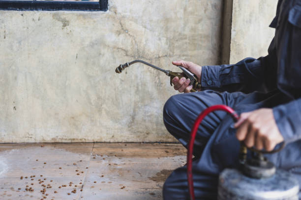 Best Flea Control Services  in Stanford, KY