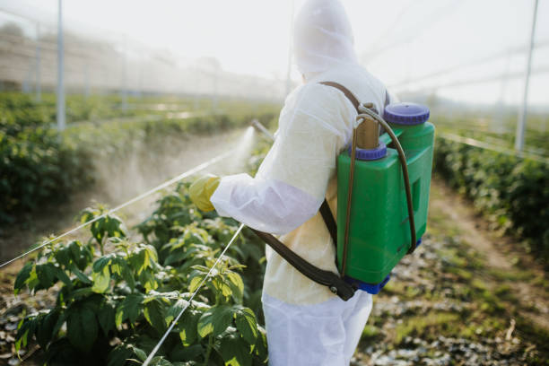 Trusted Stanford, KY Pest Control Experts